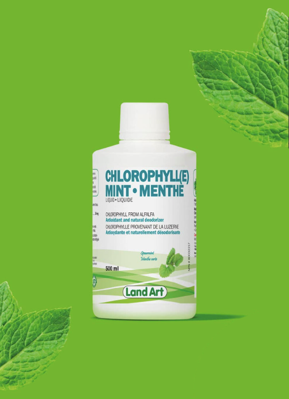 Chlorophylle - Liquide 500ml - Menthe - Land Art